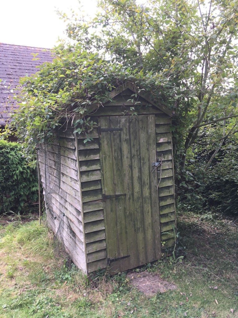 Shed. Mostly held together by clematis.